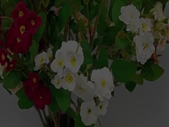 Symulacja kwiatu róży Wielokrotna granica wielokrotna głowa symulacja kwiatu sztuczny bukiet Dekoracja ślubna