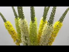 Dekoracja Słupka Ogon Trawa Symulacja Kwiat Dom Salon Ogon Konia Kwiat Latająca Łacianka Trawa Fl