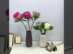 Wiosenna symulacja koloru króla, scena strzelaniny kwiatów, cesarz kwiatów, dom, fałszywa dekoracja kwiatów, wesele.