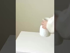 Symulacja 8 małych kaki, imitacja prawdziwych i fałszywych kaki, dekoracja domu, wesele,