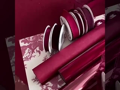 2024 Ankela Czerwony Element