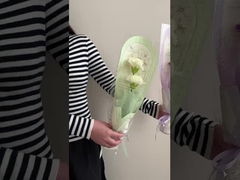 Rośliny, bukiety róż, prezenty na Walentynki i Dzień Nauczyciela dla najlepszych.