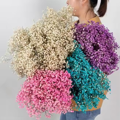 Dobra cena. 100g suszonych kwiatów sztuczny bukiet Baby Breath Gypsophila Flower w Internecie