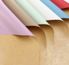 kupować Cynthia Paper Pullman Papier do pakowania kwiatów online manufacture