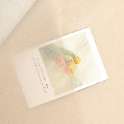 kupować Effortlessly Elegant Korean-Style Copy Paper for Flower Wrapping and Gift Packaging produkcja online