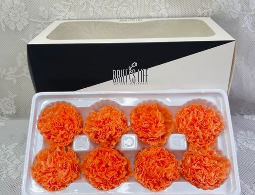 kupować Wieczne głowice kwiatów goździków, 8 sztuk DIY materiały hurtowe, Premium prezent na Dzień Matki, Różany suszony bukiet kwiatów produkcja online