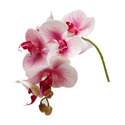 Dobra cena. Sztuczne symulacje 3D orchidie motyla Dekoracja ślubna, rekwizyty płatków, fałszywe kwiaty, małe bukiety kwiatów, symulacje kwiatów orchidie motyla w Internecie