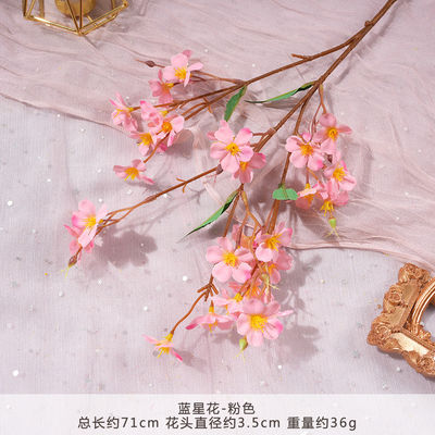 Dobra cena. Symulacja kwiatu niebieskiej gwiazdy Sztuczny bukiet Sztuczny jedwabny kwiat Plastikowa wkładka Dekoracja kwiatowa Dekoracja ślubna Dekoracja salonu w Internecie